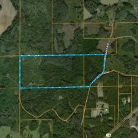 Callahan Loop images 2