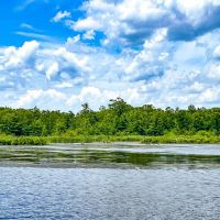 6.17 acres of Waterfront Residential Recreational Land For Sale on the Chickahominy Lake in New Kent County VA images 3