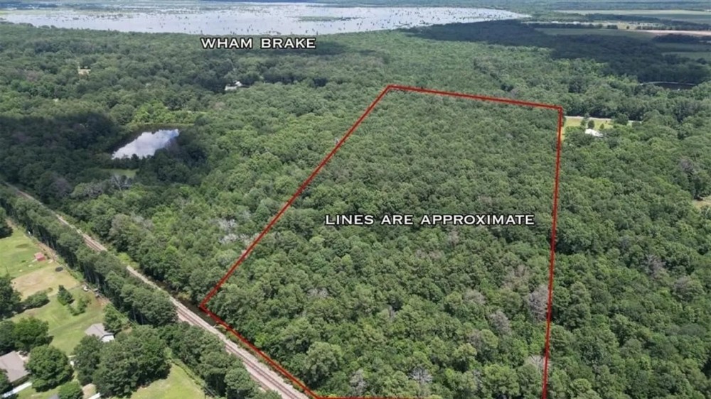 Wooded Homesite in Monroe Louisiana featured image
