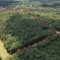 Wooded Homesite in Monroe Louisiana images 2