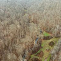 713 off Sugar Tree Branch Rd
