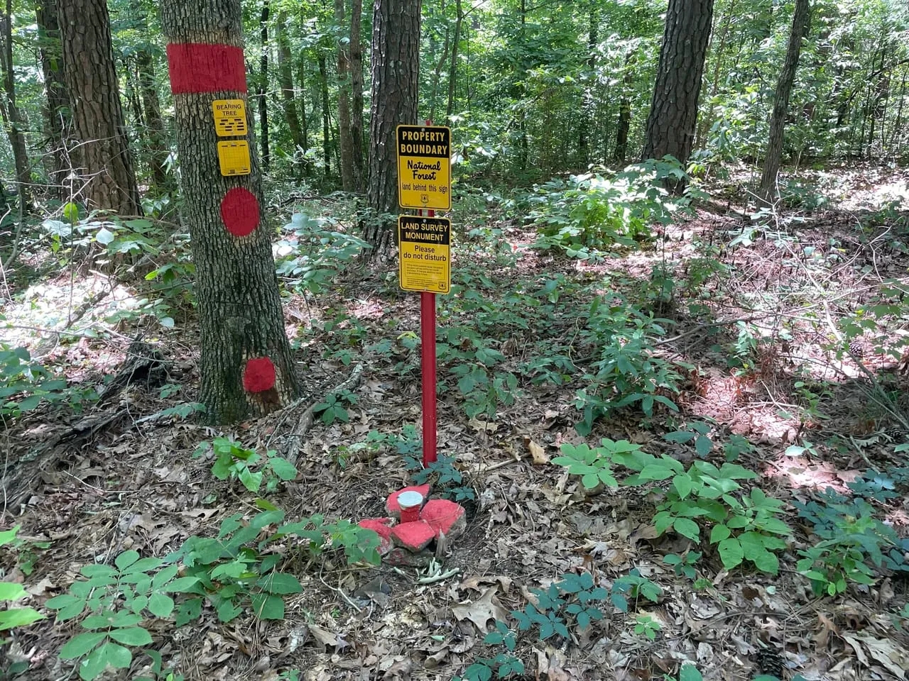 10 Acres in Bankhead National Forest Hunting Land for Sale