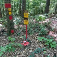 10 - Acres in Bankhead National Forest