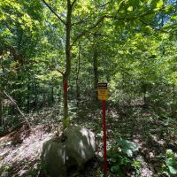 10 - Acres in Bankhead National Forest images 3