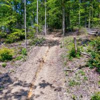 25.63 Acres of Unrestricted Wooded Paradise