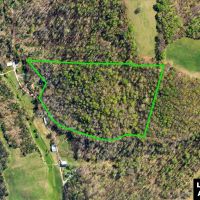 25.63 Acres of Unrestricted Wooded Paradise images 2