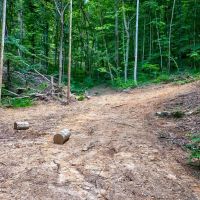 25.63 Acres of Unrestricted Wooded Paradise images 3