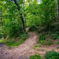 25.63 Acres of Unrestricted Wooded Paradise images 4