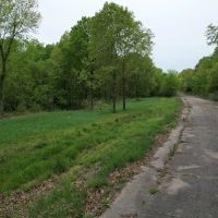 Great place to hunt build a cabin and enjoy the outdoors. images 2