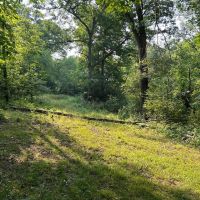 Kiser Ln - Derry - Westmoreland - 10.6 - images 5