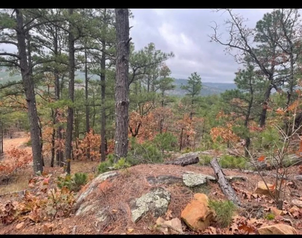 Buck Creek Recreational Hunting Ranch Moyers Pushmataha County OK 517 AC featured image