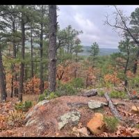 Buck Creek Recreational Hunting Ranch Moyers Pushmataha County OK 517 AC