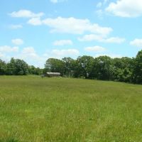 48 Acres Drilled Well Tiny House Ponds Close to Rivers Lakes Howell County