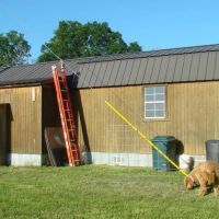 48 Acres Drilled Well Tiny House Ponds Close to Rivers Lakes Howell County images 5
