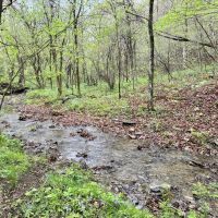 Labelle Rd. Fayette County - 200 acres