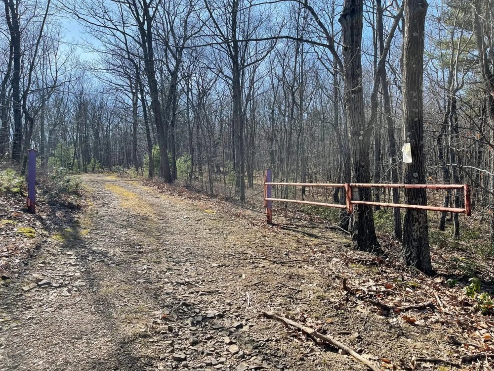 FRANKLIN COUNTY - UPPER STRASBURG RD - 90.24 - ACRES featured image