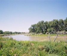 Amelia Island WMA of 191 Acres For Hunting Ducks & Deer In Treasure, MT