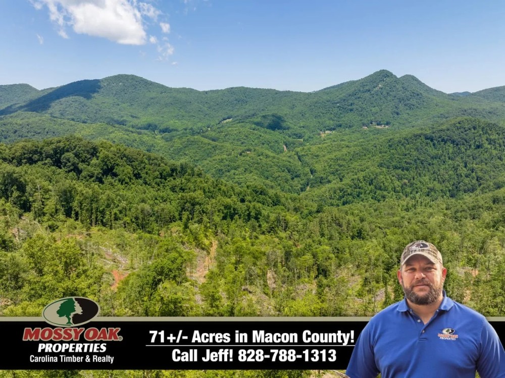 71 - Acres in Macon County featured image