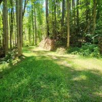 71 - Acres in Macon County images 2