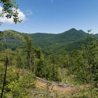 71 - Acres in Macon County images 4