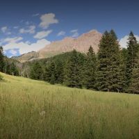 Bear Creek WMA - 3,467 Acres Land for Beer Hunting in Madison, MT