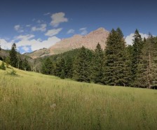 Bear Creek WMA - 3,467 Acres Land for Beer Hunting in Madison, MT