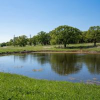 Lake Nocona Ranch images 4