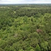 58 Acres in Smith County in Pulaski MS images 2
