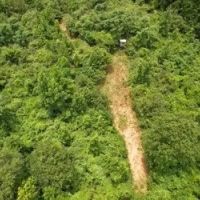 58 Acres in Smith County in Pulaski MS images 4