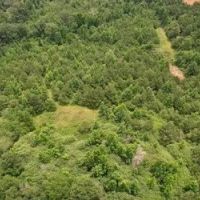 58 Acres in Smith County in Pulaski MS images 5