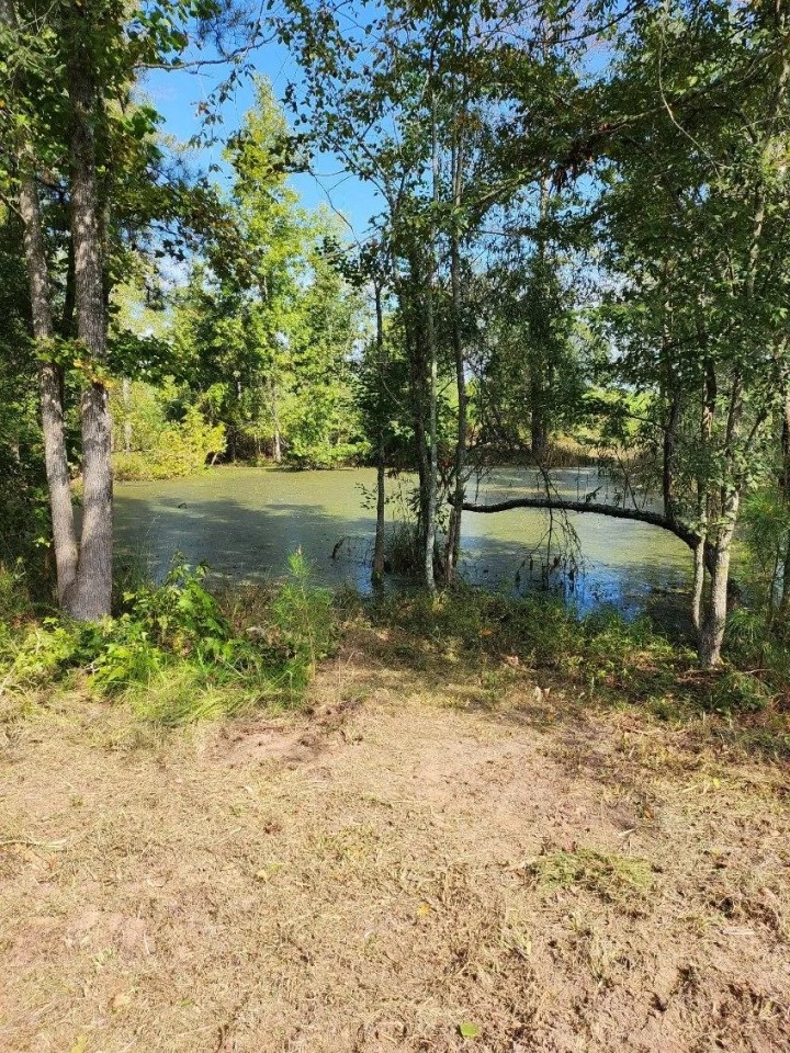 64 Acres in Scott County MS featured image