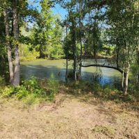 64 Acres in Scott County MS