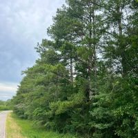 64 Acres in Scott County MS images 2