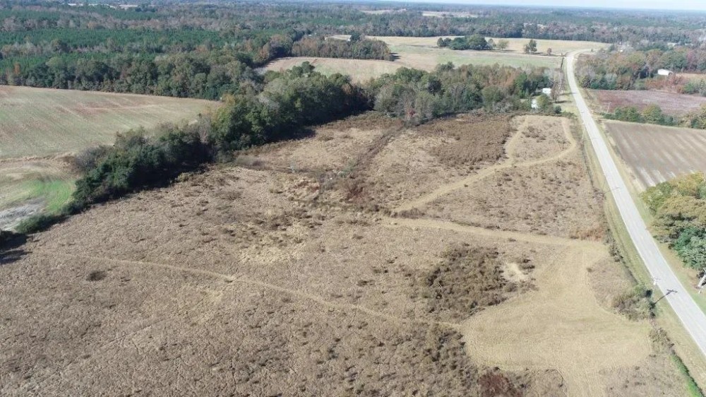 Old Savannah Road - Tract 1 featured image