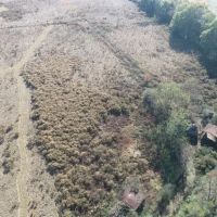 Old Savannah Road - Tract 1 images 3