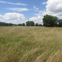 Recreational Hunting Property Sawyer Choctaw County OK 7.82 AC