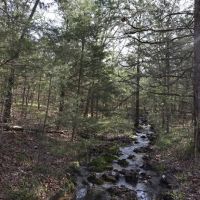 Deep Branch Creek 735 images 2