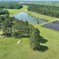 887 Acres in Smuteye