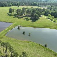 887 Acres in Smuteye images 4