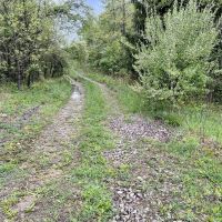 Narrows Rd Fayette County - 244 acres images 3