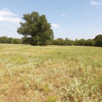 RANCH AND RECREATIONAL 520 ACRES BOSWELL CHOCTAW CO. OKLA. images 2