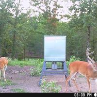 220 acres deep in the heart of ETX images 2