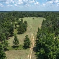 220 acres deep in the heart of ETX images 4