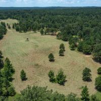 220 acres deep in the heart of ETX images 5
