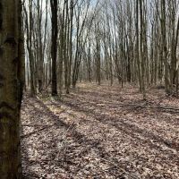 Heyer Rd. Somerset County - 49 acres