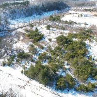 BEDFORD COUNTY - OPPENHEIMER RD - 8.6 - ACRES images 2