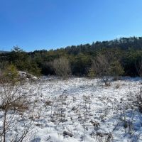 BEDFORD COUNTY - OPPENHEIMER RD - 8.6 - ACRES images 5