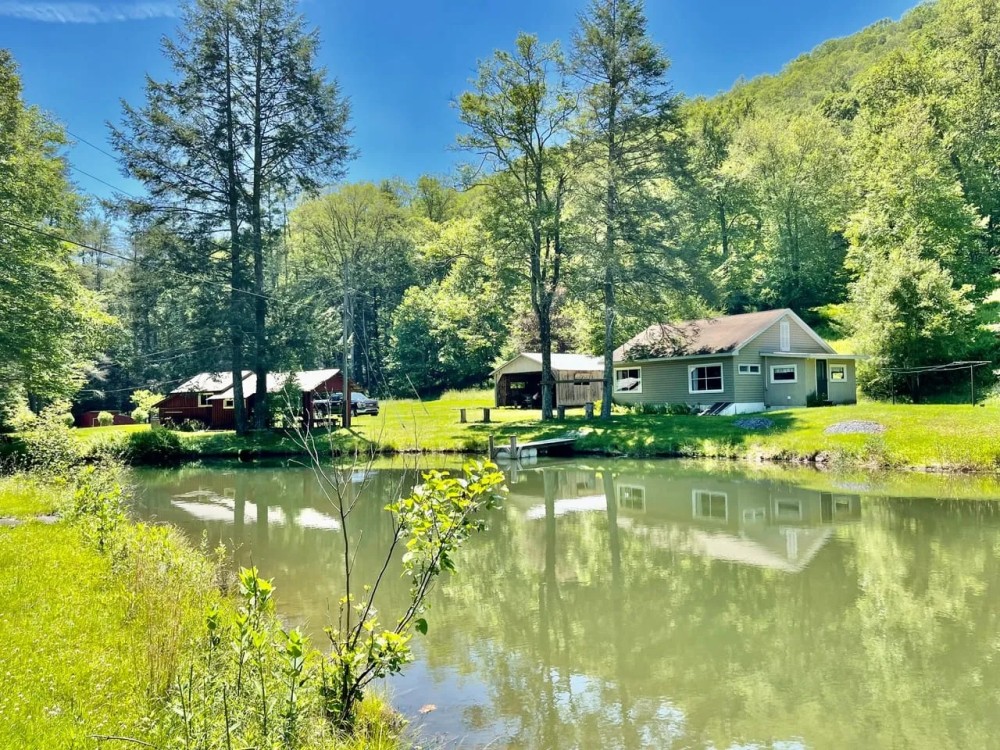 789 ROARING RUN RD. - LYCOMING COUNTY - 63 - ACRES featured image