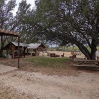 High Fence in Comanche County