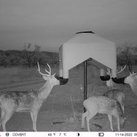 High Fence in Comanche County images 2